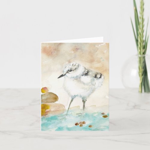 Piping Plover BLANK Greeting Card