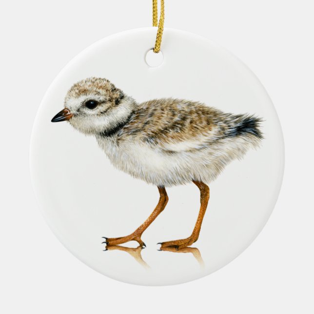 Piping Plover Chick Ornament (Front)