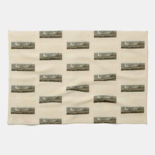 Piping Plover from Audubon's Birds of America Kitchen Towel