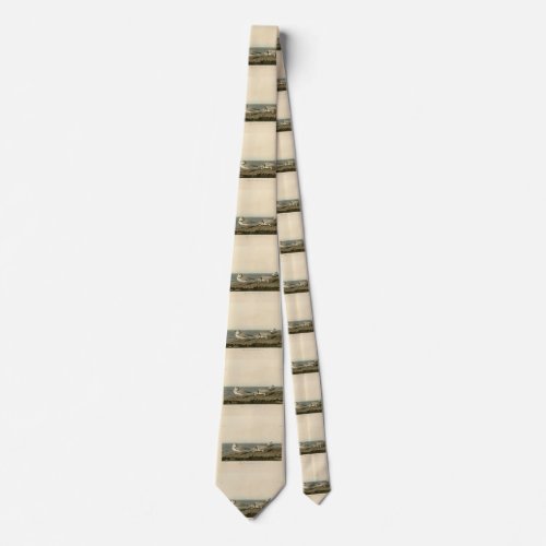 Piping Plover from Audubons Birds of America Neck Tie