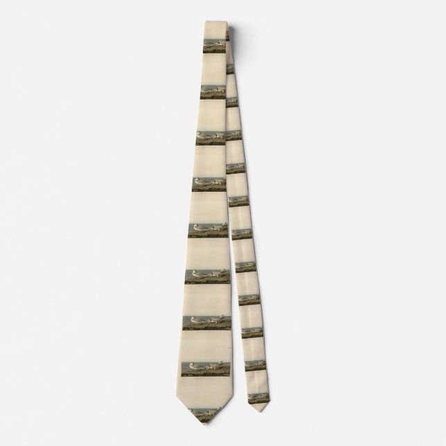 Piping Plover from Audubon's Birds of America Neck Tie (Front)