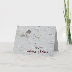 Piping Plover Good-bye From Group Card