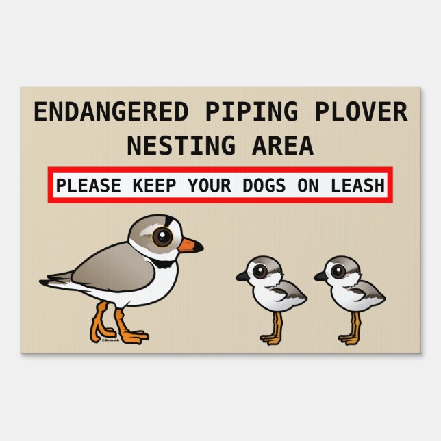 Piping Plover Nesting Sign (Front)