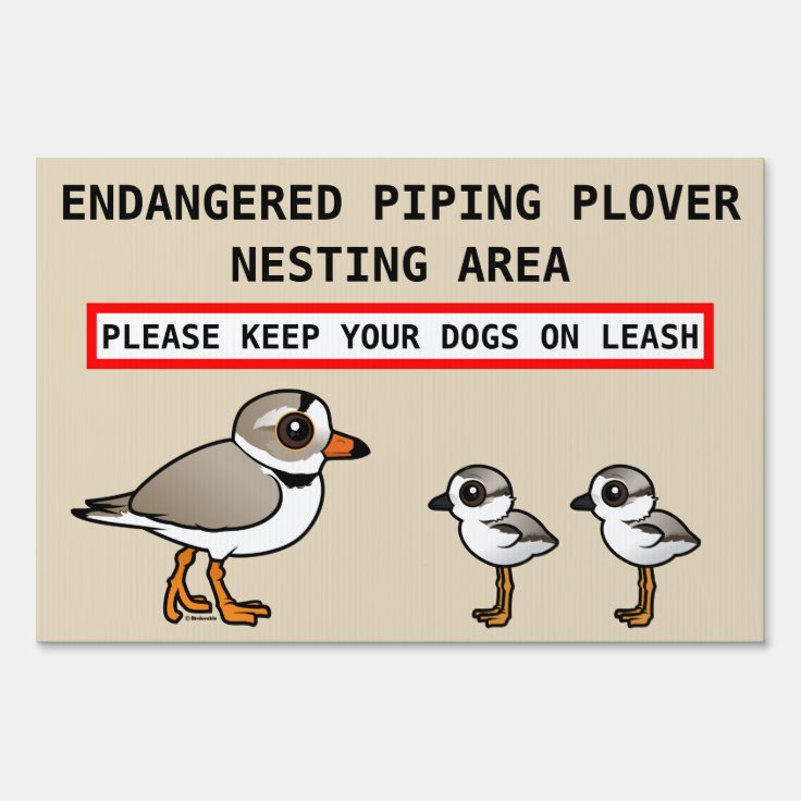 Piping Plover Nesting Sign | Zazzle