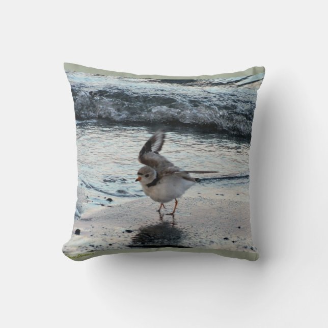 Piping Plover Pillow (Front)