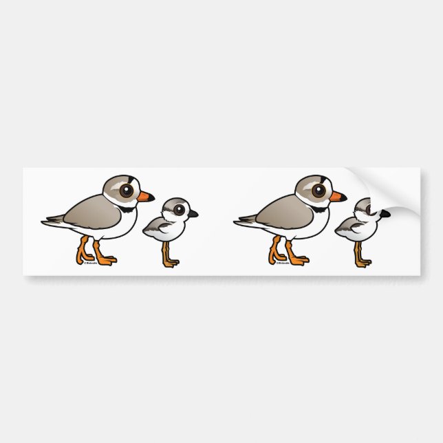 Piping Plover with chick Bumper Sticker (Front)