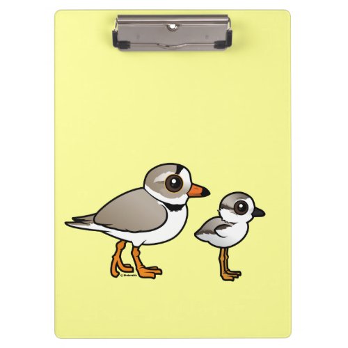 Piping Plover with chick Clipboard