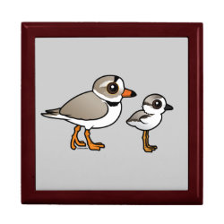 Piping Plover with chick Large 7.125