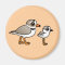 Piping Plover with chick Magnet