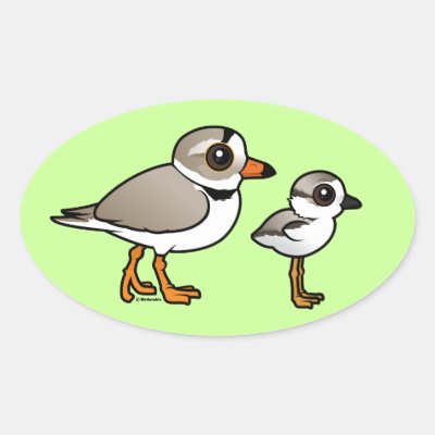 Piping Plover with chick Oval Sticker