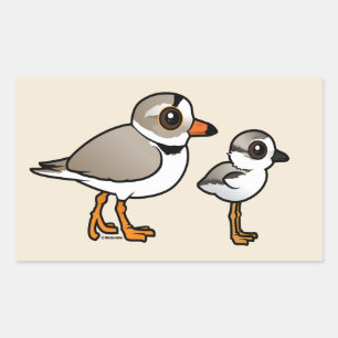 Piping Plover with chick Rectangular Sticker