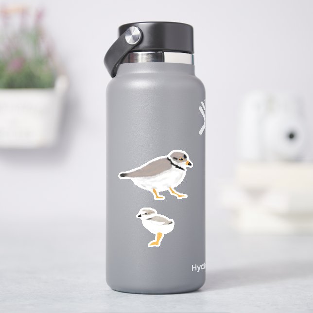 Piping Plover with its Chick Sticker (HydroFlask)