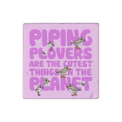 Piping Plovers are the Cutest Primed Marble Stone Magnet