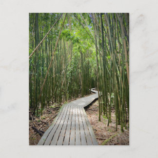 Pipiwai Trail, Haleakala National Park, Maui Postcard