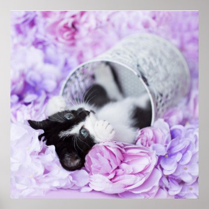 Pippa Purple Floral Poster