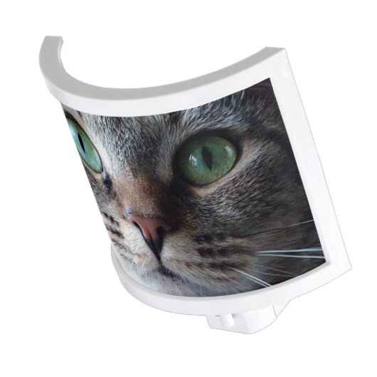 "Pippa Up Close" Night Light (Angled)