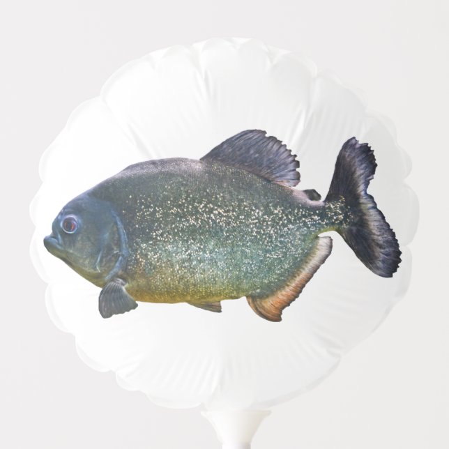 Piranha Balloon (choose colour) (Front)