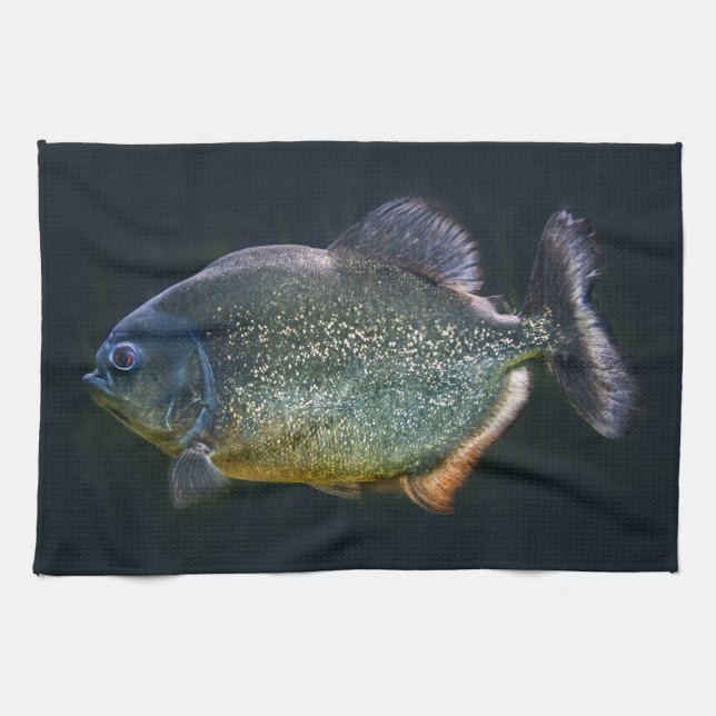 Piranha Kitchen Towel (Horizontal)