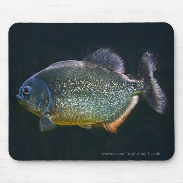 Piranha Mousemat Mouse Pad (Front)
