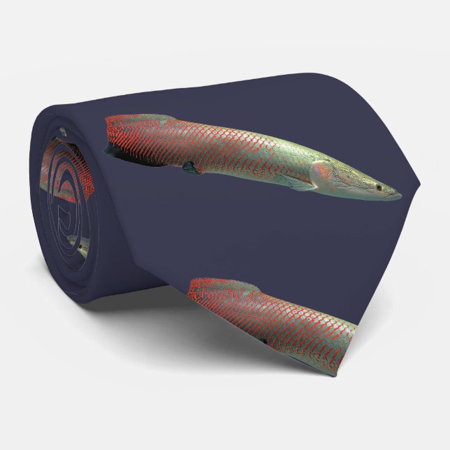 Pirarucu , Arapaima gigas ネクタイ Neck Tie (Rolled)