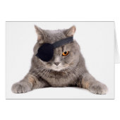 Pirate Cat (Front Horizontal)