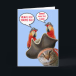 Pirate Cat And Rude Parrots Funny Birthday Card<br><div class="desc">Arrrr,  Matey! Super silly card featuring good pirate fun and a little age related teasing. Personalize the messages and create your own mayhem. Many thanks for looking! Cat photo ©Christine Greenspan. Licensed graphics.</div>