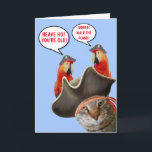 Pirate Cat And Rude Parrots Funny Birthday Card<br><div class="desc">Arrrr,  Matey! Super silly card featuring good pirate fun and a little age related teasing. Personalize the messages and create your own mayhem. Many thanks for looking! Cat photo ©Christine Greenspan. Licensed graphics.</div>