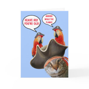 Pirate Cat And Rude Parrots Funny Birthday Card