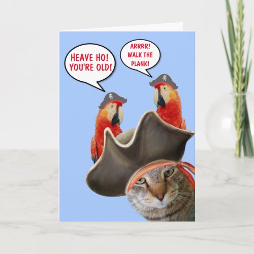 Pirate Cat And Rude Parrots Funny Birthday Card