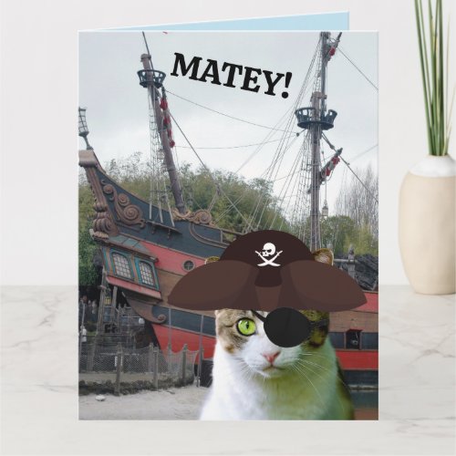 PIRATE CAT BIRTHDAY Greeting Cards