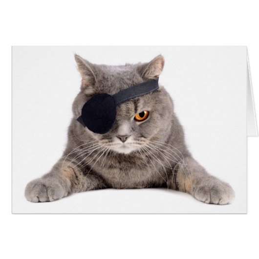 Pirate Cat Cards (Front Horizontal)