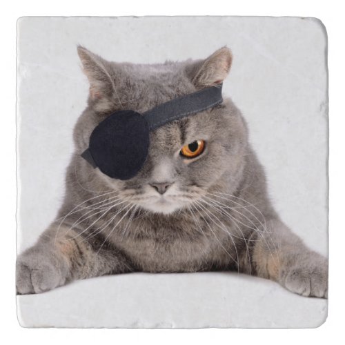 Pirate Cat Trivet