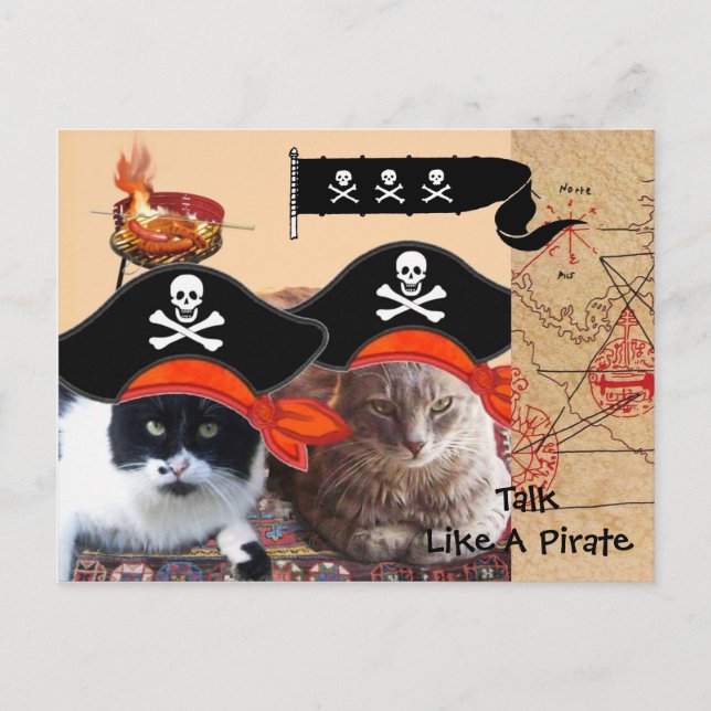 PIRATE CATS ANTIQUE PIRATES TREASURE MAPS AND FLAG POSTCARD (Front)