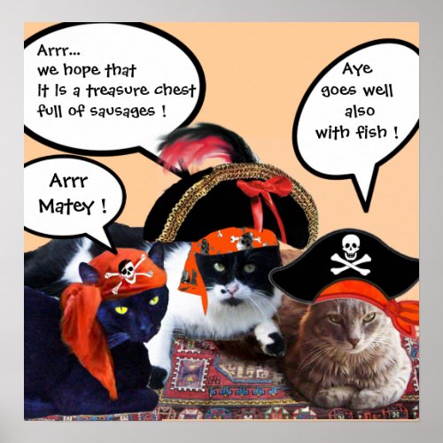 PIRATE CATS POSTER