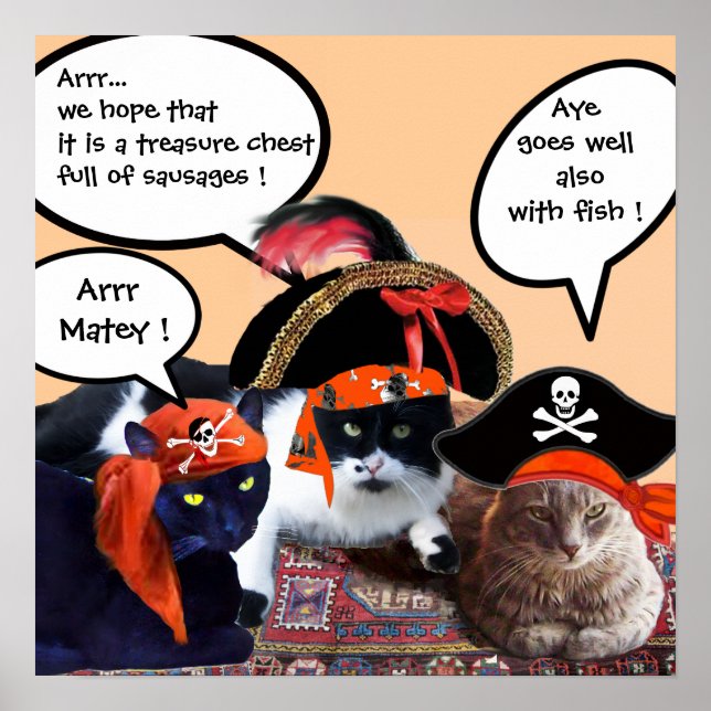 PIRATE CATS POSTER (Front)