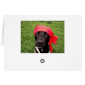Pirate dog, black lab, red hankerchief green grass cards (Back Horizontal)