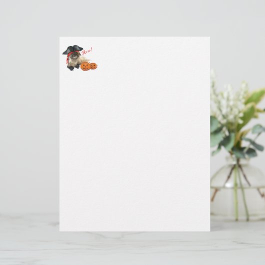 Pirate Doggie (Standing Front)