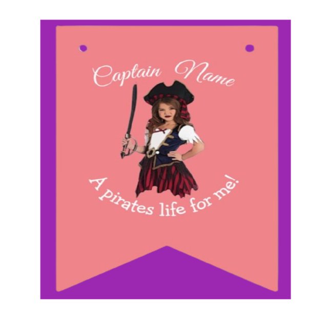 Pirate Girl Pink Theme Bunting Flags (Order our Pirate Girl Pink Bunting Flags today and let the adventure begin!)