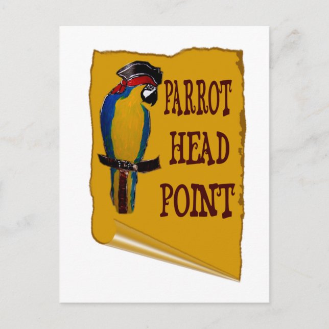 Pirate Parrot Head Postcard (Front)