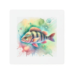 Pirate Perch 081024AREF116 - Watercolor Metal Print