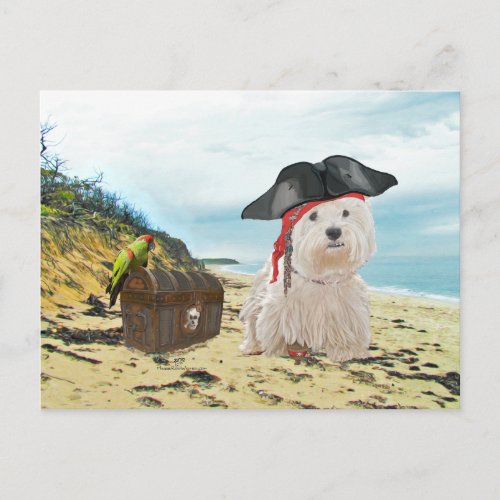 Pirate Westie Postcard