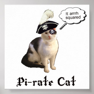 PiRateCat Poster
