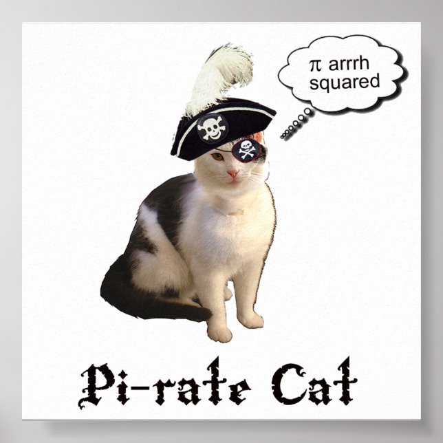PiRateCat Poster (Front)