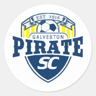 piratelogo2 classic round sticker