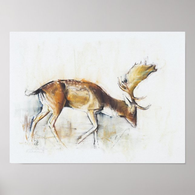 Pisanello Buck 2006 Poster (Front)