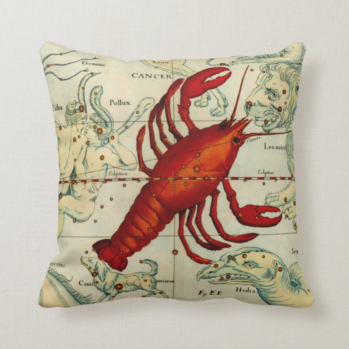 Pisces Cancer Fish Lobster Sea Astrology Astronomy Throw Pillow