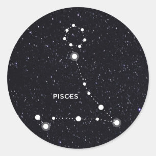 Pisces Classic Round Sticker