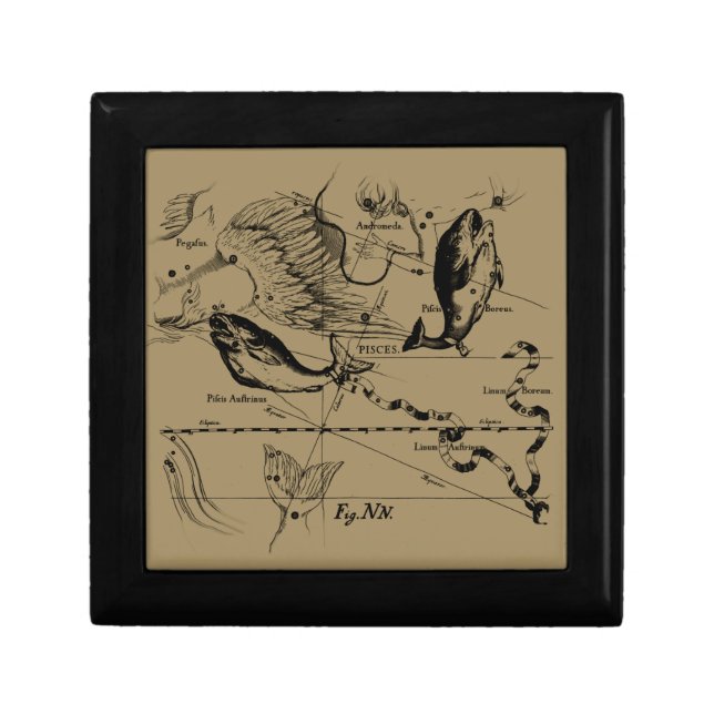 Pisces Constellation Hevelius 1690 Decor Gift Box (Front)