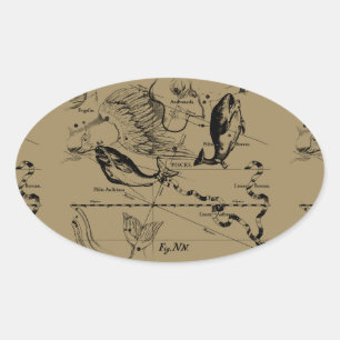 Pisces Constellation Hevelius 1690 Decor Oval Sticker