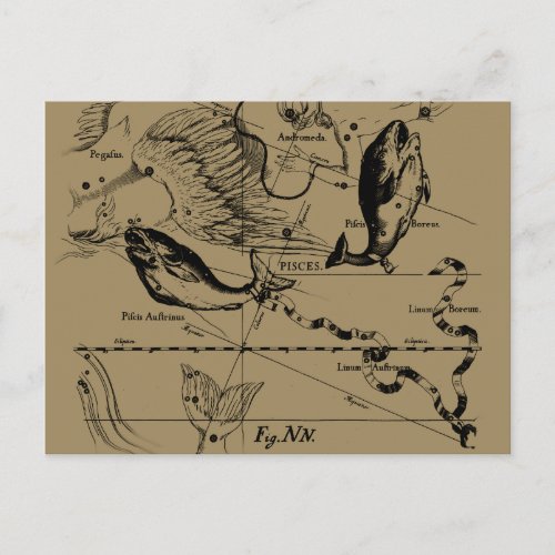 Pisces Constellation Hevelius 1690 Decor Postcard